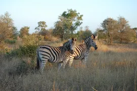 Epic South Africa