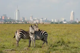 Introducing Kenya