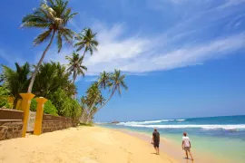 Sri Lanka Tea Country And Wildlife Tour